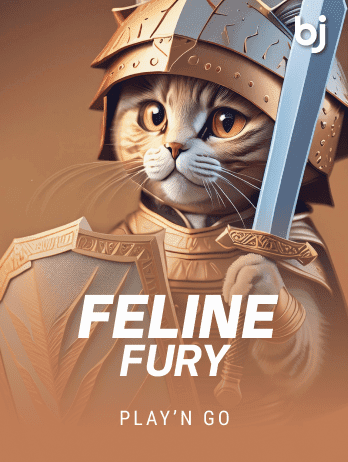 Feline Fury